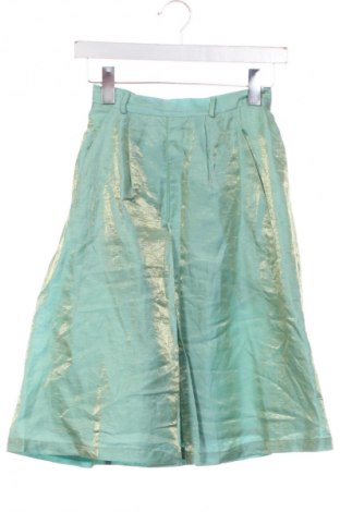 Spódnica Deni Cler, Rozmiar XS, Kolor Zielony, Cena 80,99 zł
