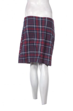Fustă Multiblu, Mărime L, Culoare Multicolor, Preț 33,99 Lei