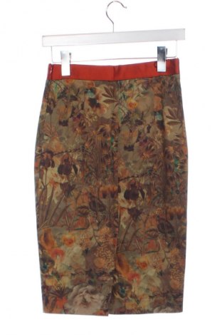 Fustă Nissa, Mărime XXS, Culoare Multicolor, Preț 163,00 Lei