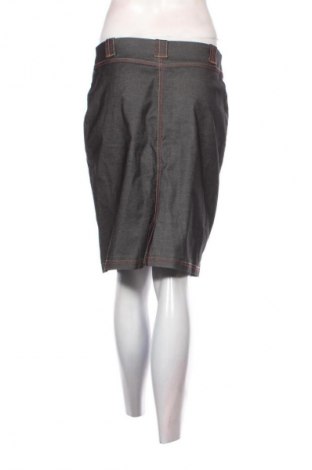 Sukňa Tara, Veľkosť M, Farba Sivá, Cena  9,95 €