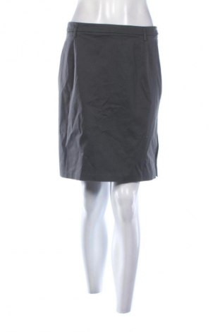 Sukňa Unbranded, Veľkosť M, Farba Sivá, Cena  10,00 €