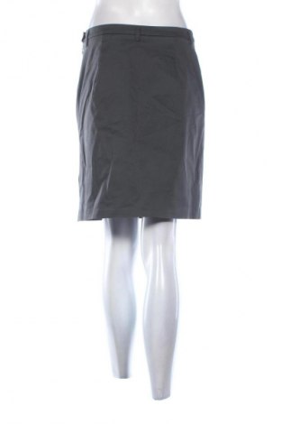 Sukňa Unbranded, Veľkosť M, Farba Sivá, Cena  10,00 €