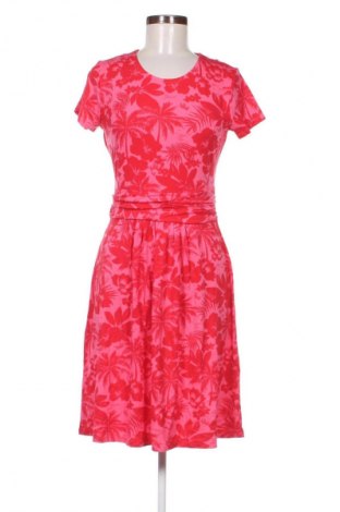 Kleid Aniston, Größe M, Farbe Mehrfarbig, Preis € 30,99