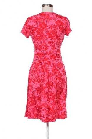 Kleid Aniston, Größe M, Farbe Mehrfarbig, Preis € 30,99