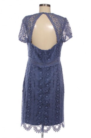 Šaty  Chi Chi, Velikost XL, Barva Vícebarevné, Cena  697,00 Kč