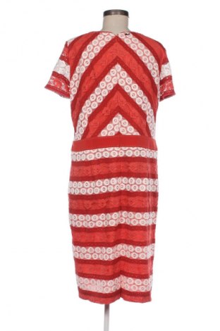 Φόρεμα Danini, Μέγεθος XL, Χρώμα Πολύχρωμο, Τιμή 14,83 €