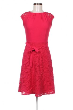 Kleid Dorothy Perkins, Größe XS, Farbe Rot, Preis 37,42 €