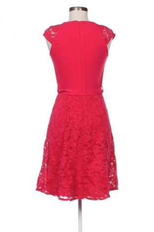 Kleid Dorothy Perkins, Größe XS, Farbe Rot, Preis 37,42 €