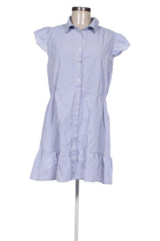 Sukienka Fisherfield, Rozmiar XL, Kolor Kolorowy, Cena 66,67 zł