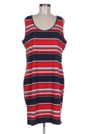 Ruha Kangaroos, Méret XXL, Szín Sokszínű, Ár 22 229 Ft