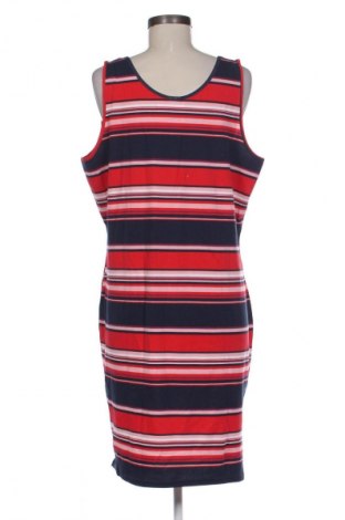 Ruha Kangaroos, Méret XXL, Szín Sokszínű, Ár 22 229 Ft