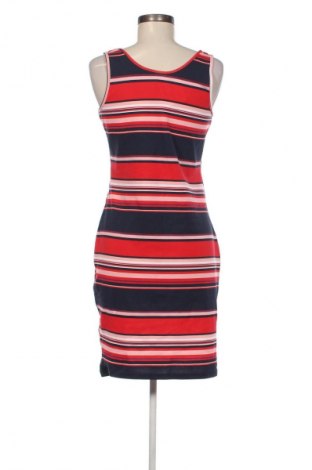 Φόρεμα Kangaroos, Μέγεθος M, Χρώμα Πολύχρωμο, Τιμή 66,99 €