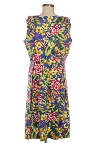 Sukienka M&Co., Rozmiar XL, Kolor Kolorowy, Cena 124,48 zł