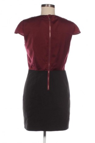 Φόρεμα Mint & Berry, Μέγεθος M, Χρώμα Πολύχρωμο, Τιμή 9,99 €