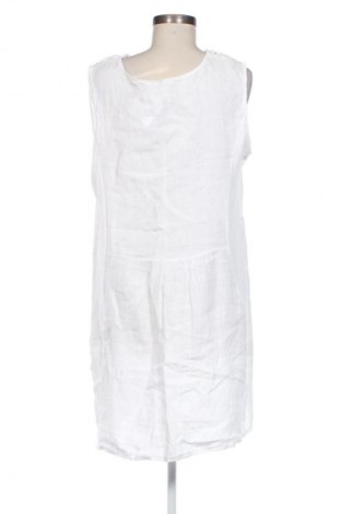 Φόρεμα NEW COLLECTION, Μέγεθος XL, Χρώμα Πολύχρωμο, Τιμή 24,55 €