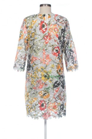 Šaty  Next, Veľkosť XL, Farba Viacfarebná, Cena  24,55 €
