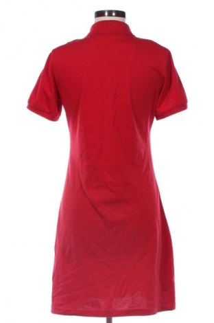 Sukienka Tommy Hilfiger, Rozmiar XXL, Kolor Czerwony, Cena 214,99 zł