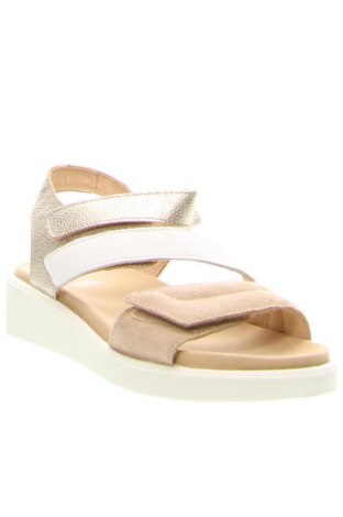 Sandalen Ara, Größe 35, Farbe Mehrfarbig, Preis 60,99 €