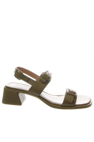 Sandalen Camper, Größe 39, Farbe Grün, Preis € 189,99