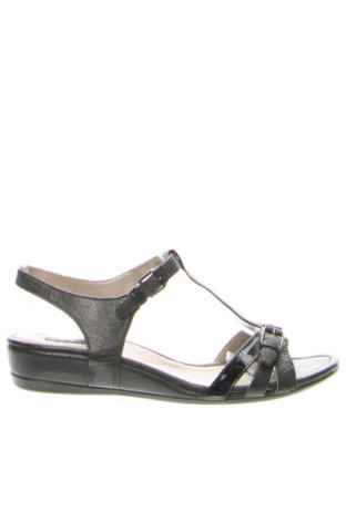 Sandalen ECCO, Größe 38, Farbe Schwarz, Preis 71,65 €