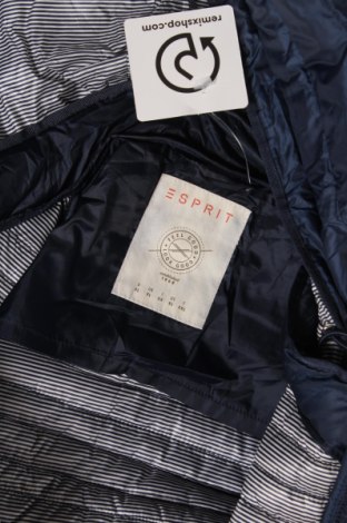 Γυναικείο μπουφάν Esprit, Μέγεθος XL, Χρώμα Μπλέ, Πολυεστέρας, φτερά και πούπουλα, Τιμή 73,07 €