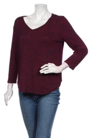 Γυναικεία μπλούζα Liz Claiborne, Μέγεθος M, Χρώμα Πολύχρωμο, Τιμή 7,58 €