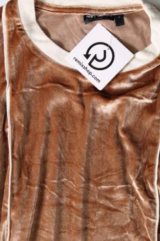 Γυναικεία μπλούζα ASOS, Μέγεθος S, Χρώμα  Μπέζ, Τιμή 1,63 €
