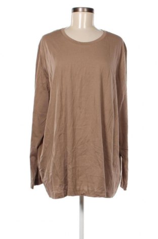 Damen Shirt H&M, Größe XXL, Farbe Beige, Preis 13,22 €