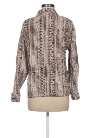 Γυναικεία μπλούζα Janina, Μέγεθος S, Χρώμα Πολύχρωμο, Τιμή 1,65 €