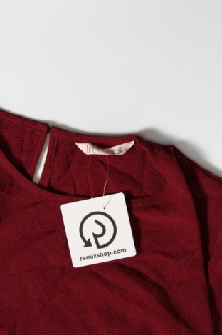 Γυναικεία μπλούζα LFT, Μέγεθος S, Χρώμα Κόκκινο, Τιμή 1,65 €