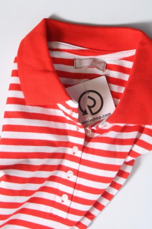 Damen T-Shirt Cheer, Größe XS, Farbe Mehrfarbig, Preis 10,82 €