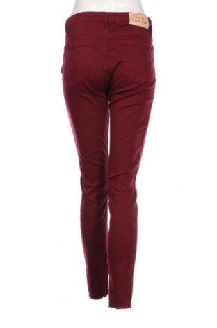 Damen Jeans Tommy Hilfiger, Größe S, Farbe Rot, Preis 46,52 €