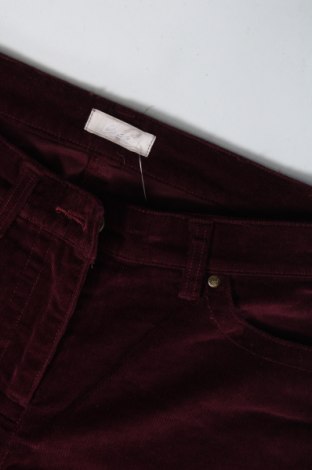Pantaloni de velvet de femei Cheer, Mărime XS, Culoare Mov, Preț 24,21 Lei