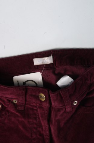 Γυναικείο κοτλέ παντελόνι Cheer, Μέγεθος XS, Χρώμα Βιολετί, Τιμή 5,45 €