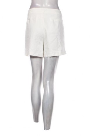Damen Shorts Etam, Größe XL, Farbe Weiß, Preis 37,11 €