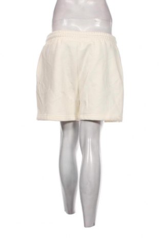 Γυναικείο κοντό παντελόνι NICCE, Μέγεθος XL, Χρώμα Εκρού, Τιμή 4,08 €