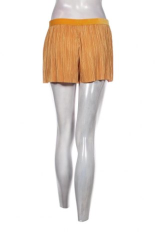 Γυναικείο κοντό παντελόνι Passionata, Μέγεθος M, Χρώμα Κίτρινο, Τιμή 37,11 €