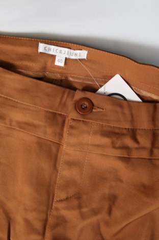 Pantaloni de femei, Mărime M, Culoare Maro, Preț 95,39 Lei