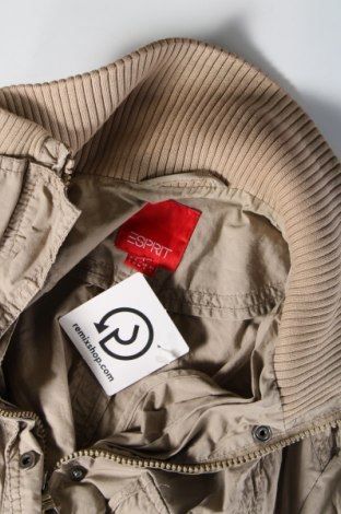 Γυναικείο μπουφάν Esprit, Μέγεθος S, Χρώμα Καφέ, Τιμή 3,03 €