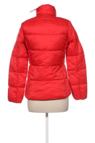 Damenjacke Lindex, Größe XS, Farbe Rot, Preis 16,99 €