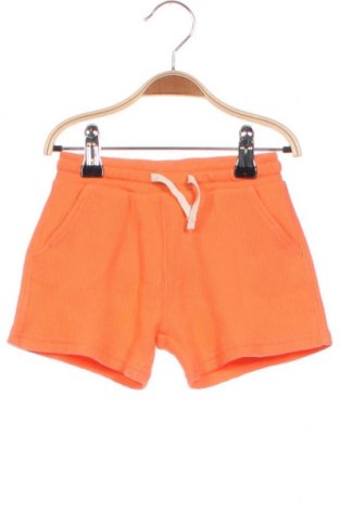 Kinder Shorts H&M, Größe 9-12m/ 74-80 cm, Farbe Orange, Preis 3,29 €