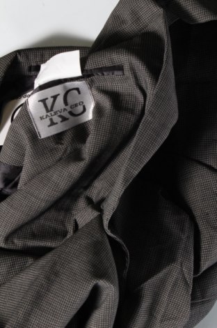 Pánske sako , Veľkosť M, Farba Viacfarebná, Cena  3,49 €