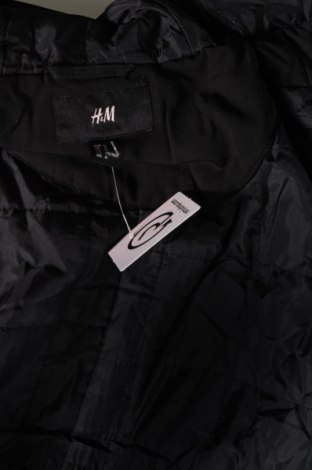 Pánska bunda  H&M, Veľkosť M, Farba Čierna, Cena  15,79 €