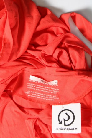 Kleid Lanius, Größe M, Farbe Rot, Preis 133,51 €