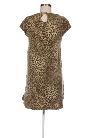 Kleid Zara Knitwear, Größe M, Farbe Mehrfarbig, Preis 16,70 €