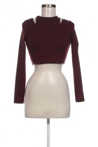 Damen Shirt, Größe S, Farbe Braun, Preis € 9,72