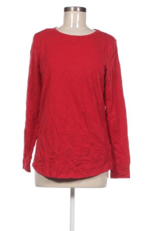 Damen Shirt Amazon Essentials, Größe L, Farbe Rot, Preis € 13,49