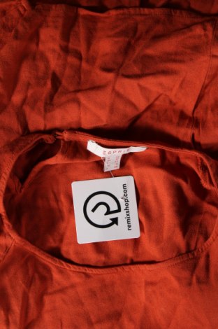 Damen Shirt Esprit, Größe M, Farbe Orange, Preis € 17,00