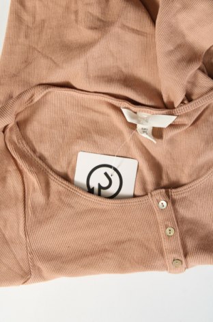 Damen Shirt H&M, Größe S, Farbe Beige, Preis € 6,99