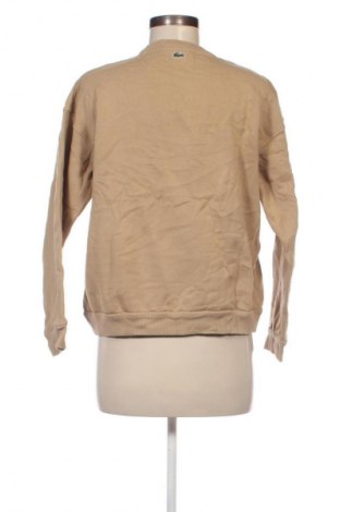 Damen Shirt Lacoste, Größe M, Farbe Beige, Preis € 57,49